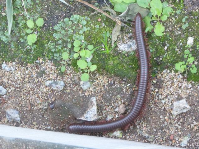 ../photos/malaysia/Jane/P1010970.jpg?t=1775411664