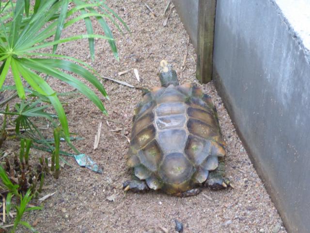 ../photos/malaysia/Jane/P1010977.jpg?t=1775411664