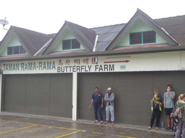 ../photos/malaysia/Jane/P1010988.jpg?t=1775411664