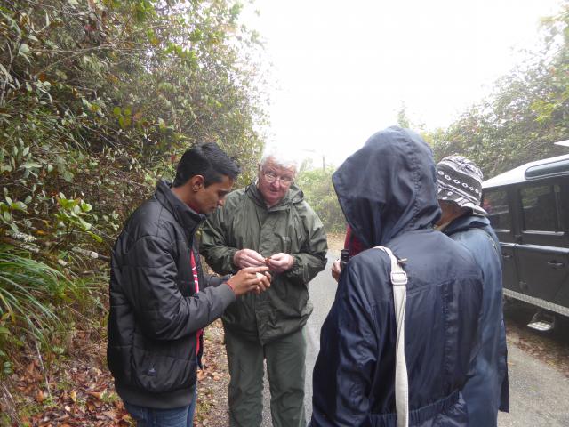 ../photos/malaysia/Jane/P1010995.jpg?t=1775411664