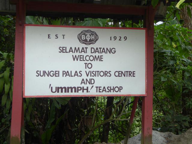 ../photos/malaysia/Jane/P1020003.jpg?t=1775411664