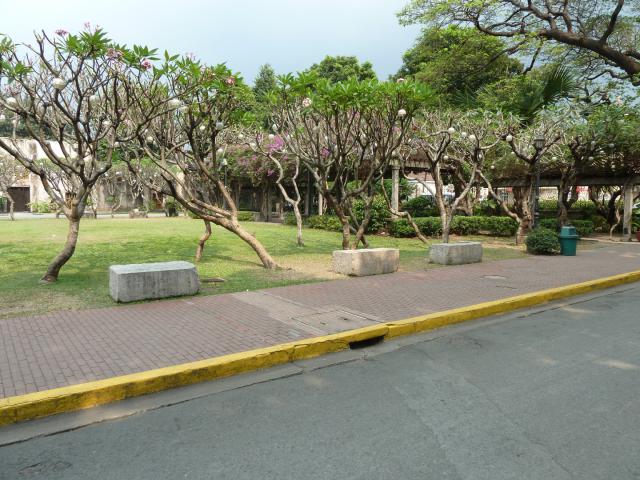 manila/Graham/P1090754.jpg