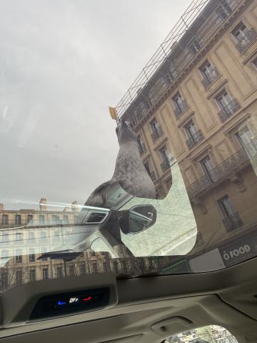 ../photos/marseille/Graham/IMG_0090.jpg?t=1775232996