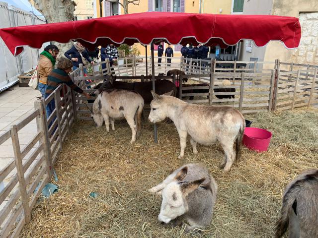 ../photos/marseille/Sarah/WhatsApp_Image_2024-12-08_at_21.50.19__2_.jpg?t=1775221819