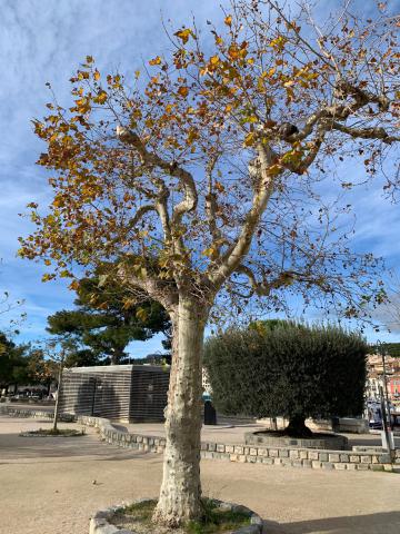 ../photos/marseille/Sarah/WhatsApp_Image_2024-12-08_at_21.50.58.jpg?t=1775221819