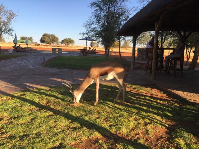 namibia/Graham/IMG_1503.jpg
