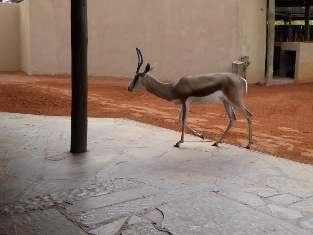namibia/Jane/P1000463.jpg