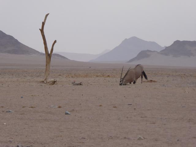 namibia/Jane/P1000595.jpg