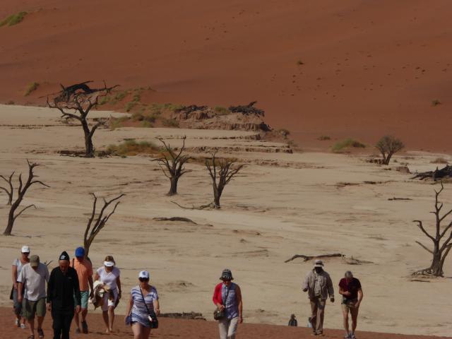 namibia/Jane/P1000670.jpg