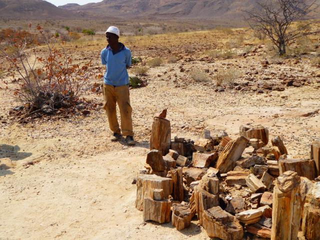 namibia/Jane/P1010002.jpg