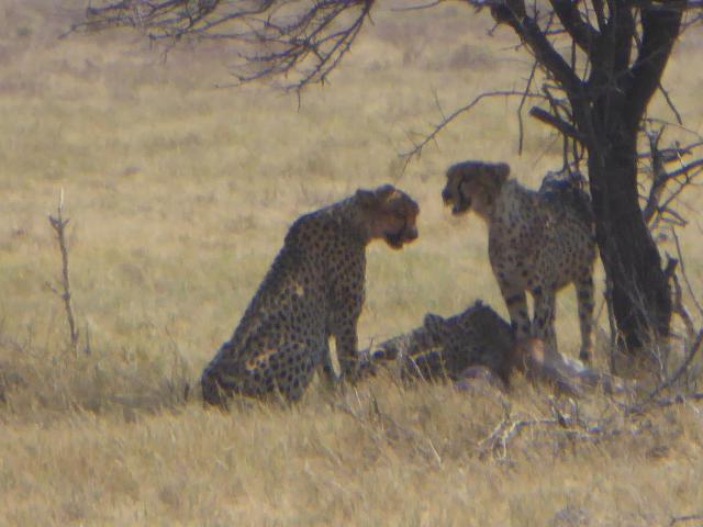 namibia/Jane/P1010360.jpg