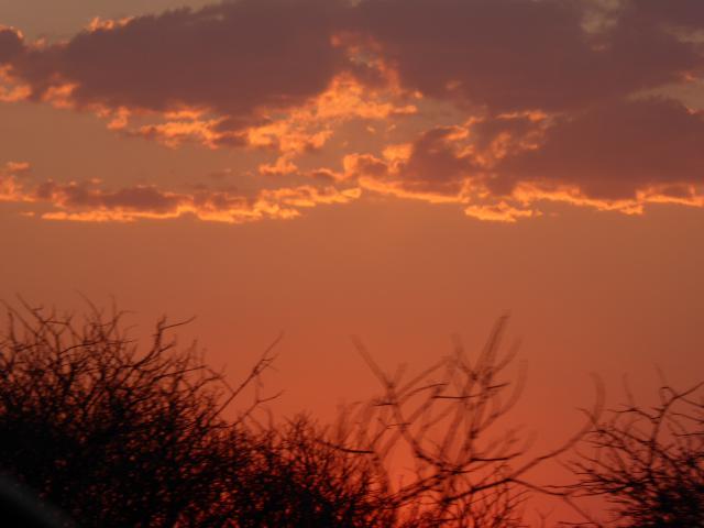 namibia/Jane/P1010698.jpg