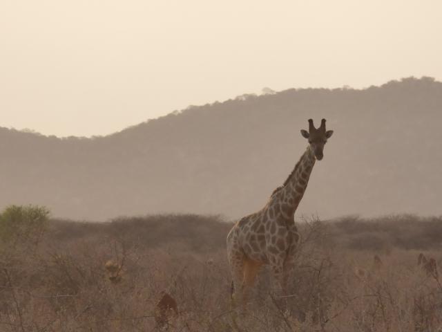 namibia/Jane/P1010711.jpg
