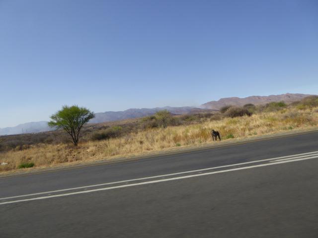 namibia/Jane/P1010756.jpg