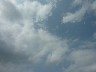 Eagles flying