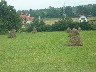 Romanian Haystacks