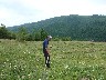 Cutting the grass