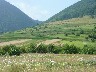 Strip farming