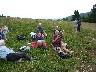 Waiting for the botanists to catch up