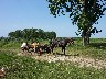 Modern farming in glade at lunchtime