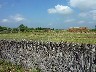 Decorative fence