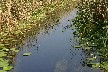 Little channel to Letea