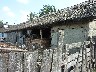 Wattle and daub houses with reed thatched roofs