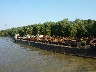 The large rusty barge