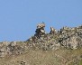A long time was spent trying to identify the bird on top of the rock
