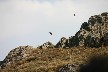 And off they go