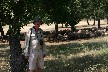 More sheep sheltering from this heat