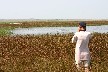 Florin identifying the ducks