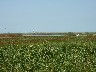 Taken from the road to show marshes we crossed