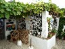 Castellar De La Frontera artists shop