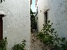 Castellar De La Frontera many cats at end of alleyways