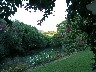 View from the dining terrace
