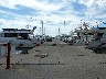 11 years ago we were with Cranes at end of this pontoon