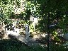 Inside the cemetry
