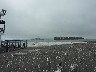 Alcatraz and a container vessel in the mist