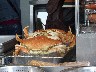 Crabs being sold
