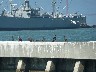 Cormorants