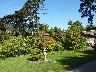 Japanese garden 3