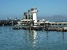 Pier 39 seals