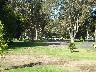 Pan handle park used in the 60s for concerts free love free dugs and free sex