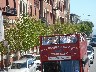 The hop on hop off buses