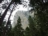 People climbing up El Capitan's sheer face
