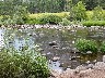 River Merced