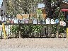 US letter boxes