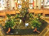 The font