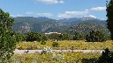 Mountains go golden in the autumn - here is the start with the chamisa flowers